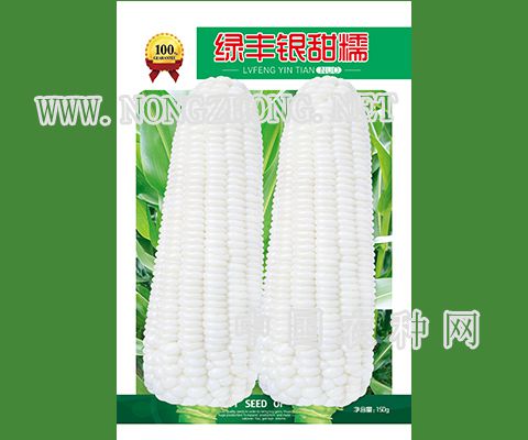 绿丰银甜糯